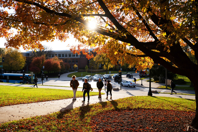 Students walking on campus, under changing fall leaves.