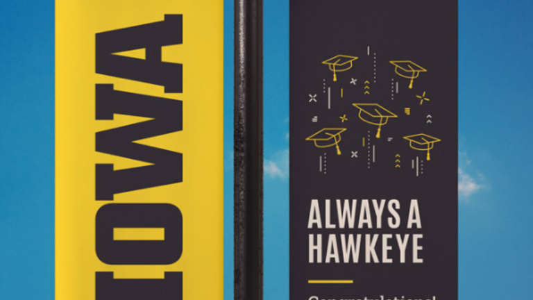 Light pole banners example